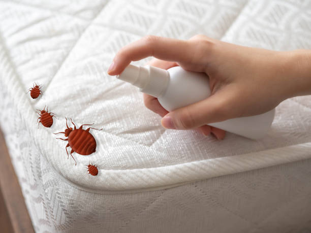 Best Pest Exclusion Services  in Fairport, NY